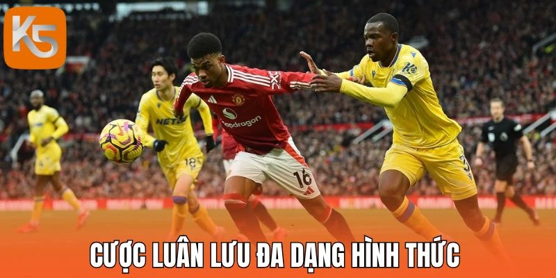 Cược luân lưu đa dạng hình thức